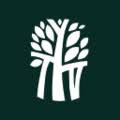 Логотип застройщика Banyan Tree Holdings