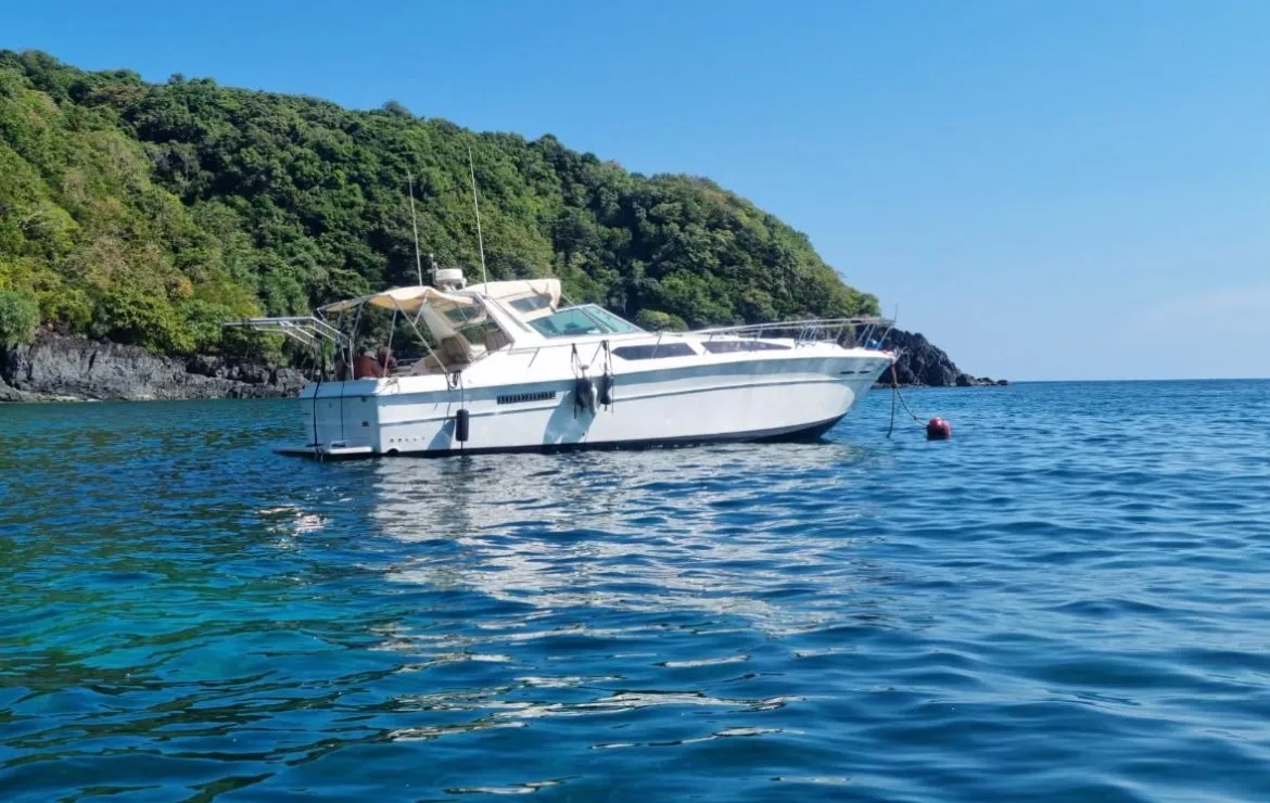 Спидбот CORSICA 40FT
