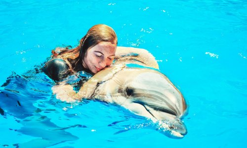 Королевское плавание с дельфинами — 8