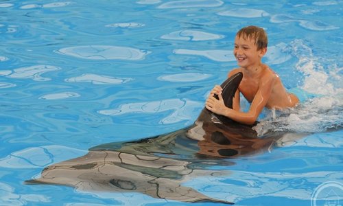 Королевское плавание с дельфинами — 5