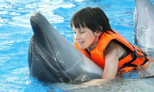 Королевское плавание с дельфинами — 4
