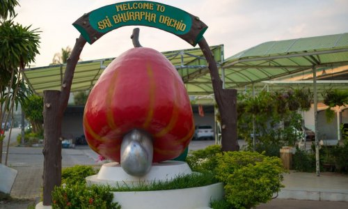 Обзорная экскурсия по Пхукету — 5