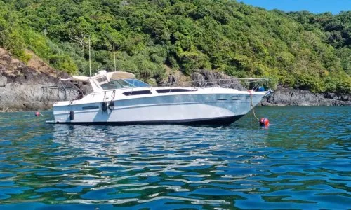 Спидбот CORSICA 40FT — 2
