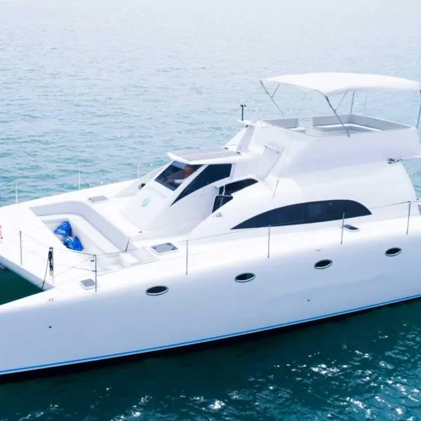 Моторный катамаран Seaexplorer 47ft