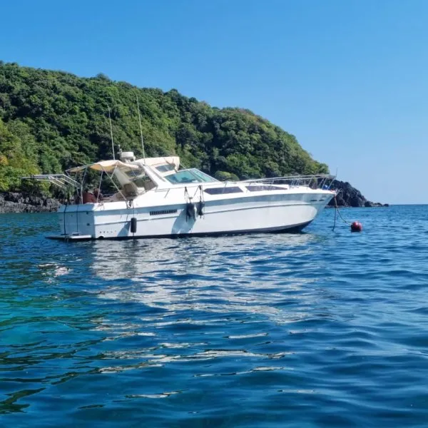 Спидбот CORSICA 40FT