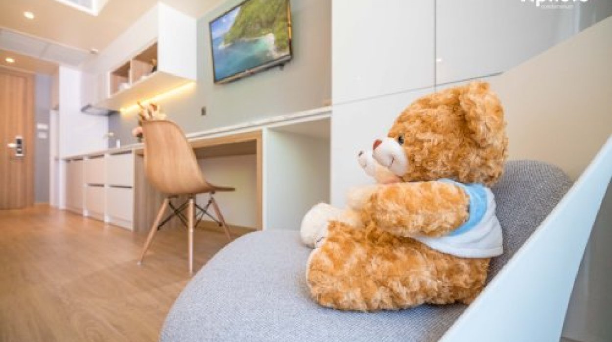 Property image - gallery 1