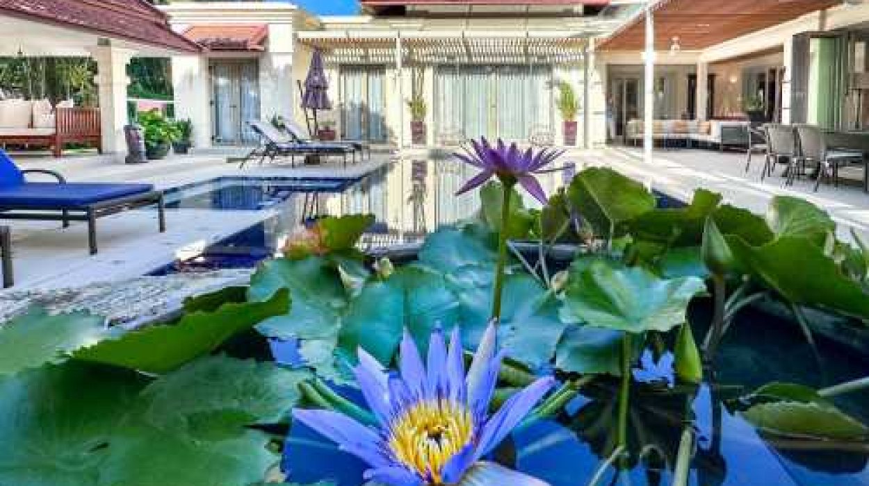 Property image - gallery 1