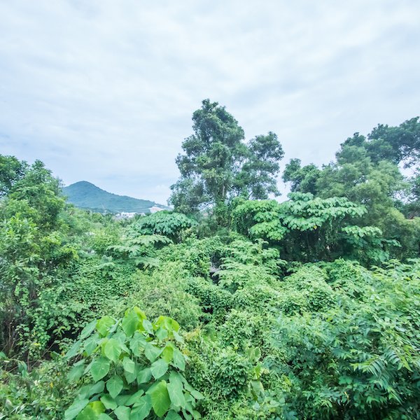 Property image - gallery 56