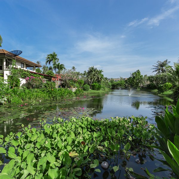 Property image - gallery 31