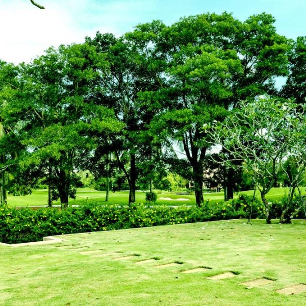 Property image - gallery 23