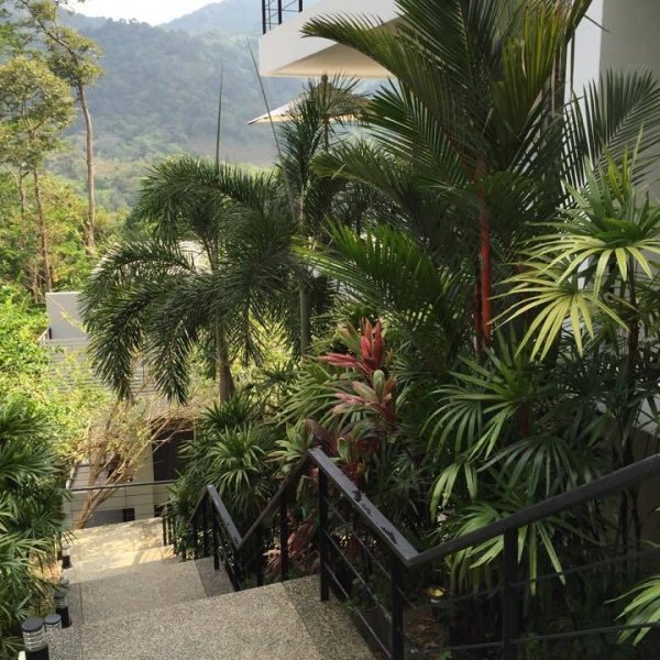 Property image - gallery 13