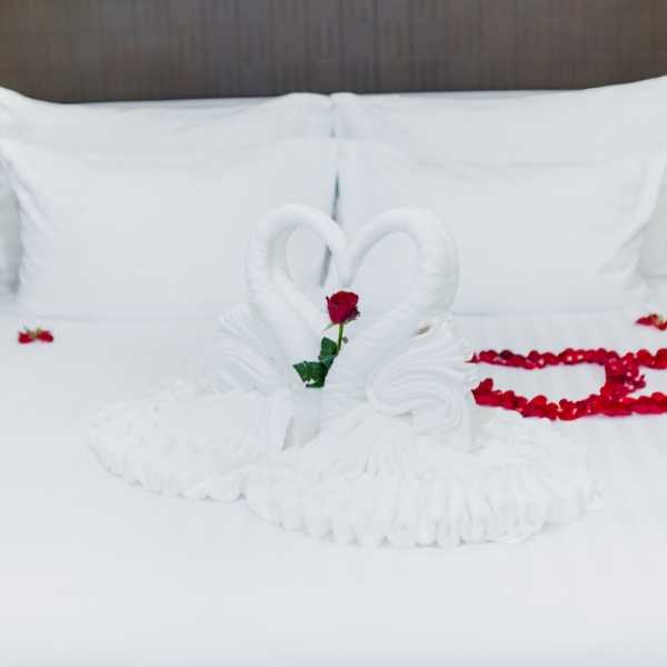 Property image - gallery 16