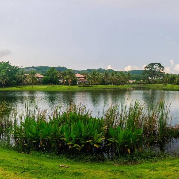 Property image - gallery 33