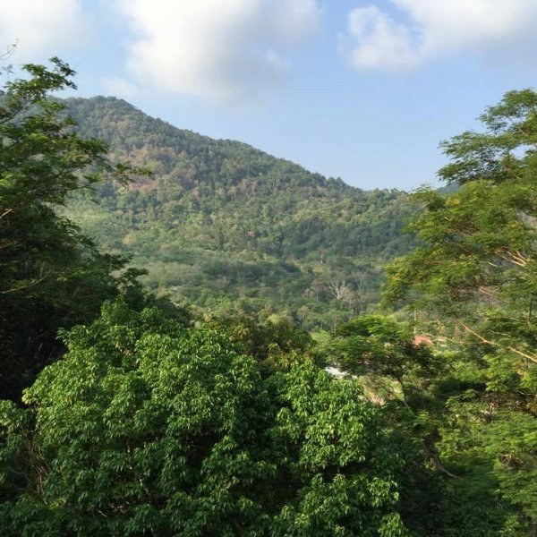 Property image - gallery 12