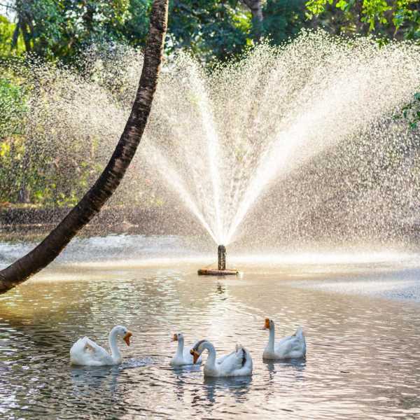 Property image - gallery 13