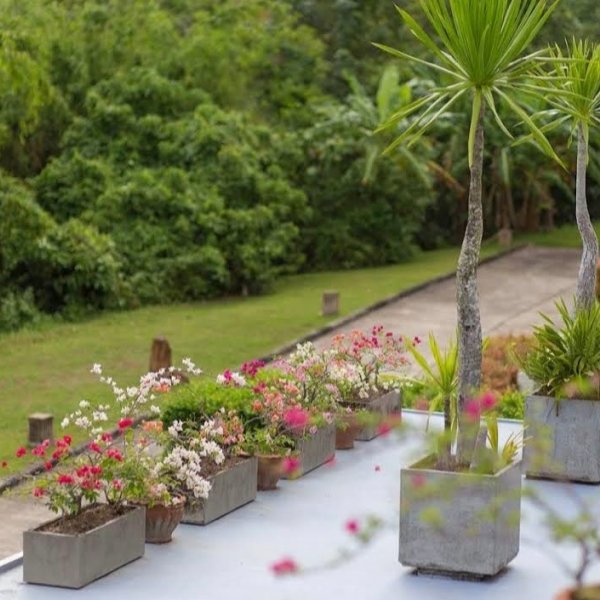 Property image - gallery 22