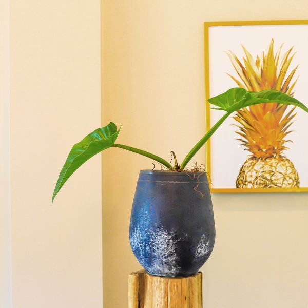 Property image - gallery 9