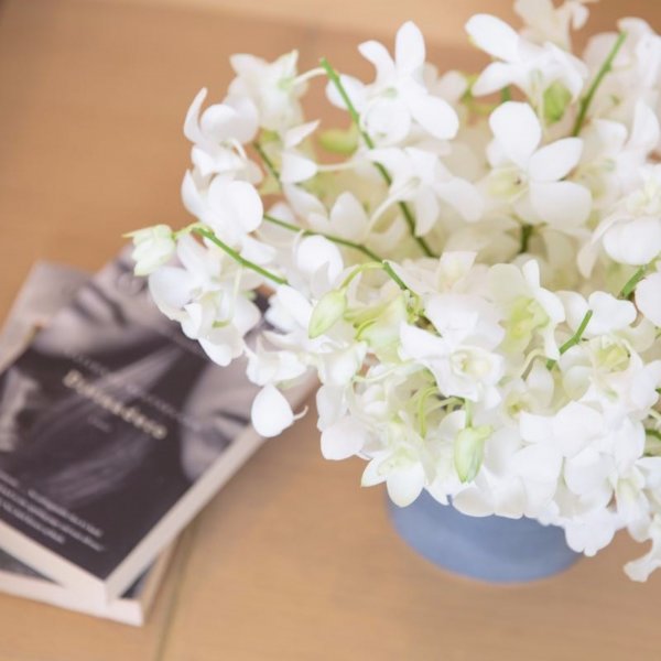 Property image - gallery 44