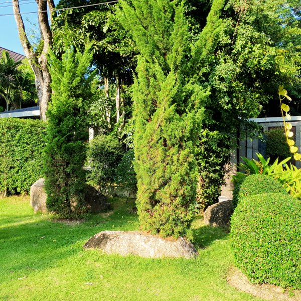 Property image - gallery 16