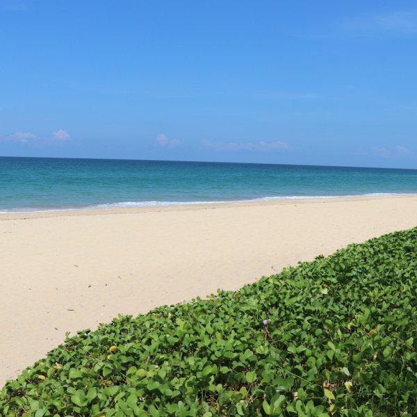 Property image - gallery 20