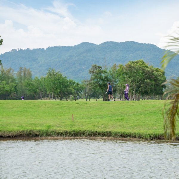 Property image - gallery 28