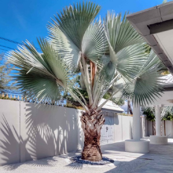 Property image - gallery 59