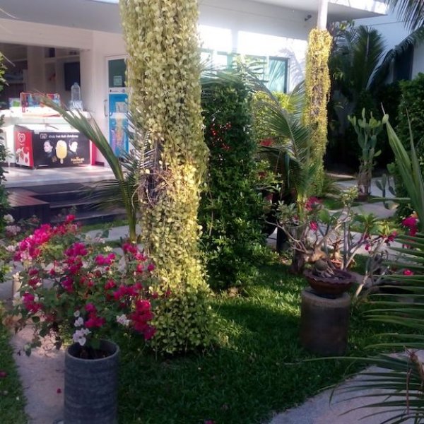 Property image - gallery 51