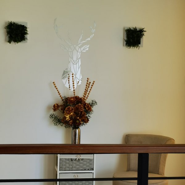 Property image - gallery 11