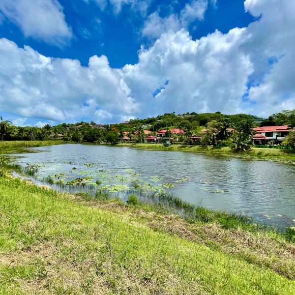 Property image - gallery 33