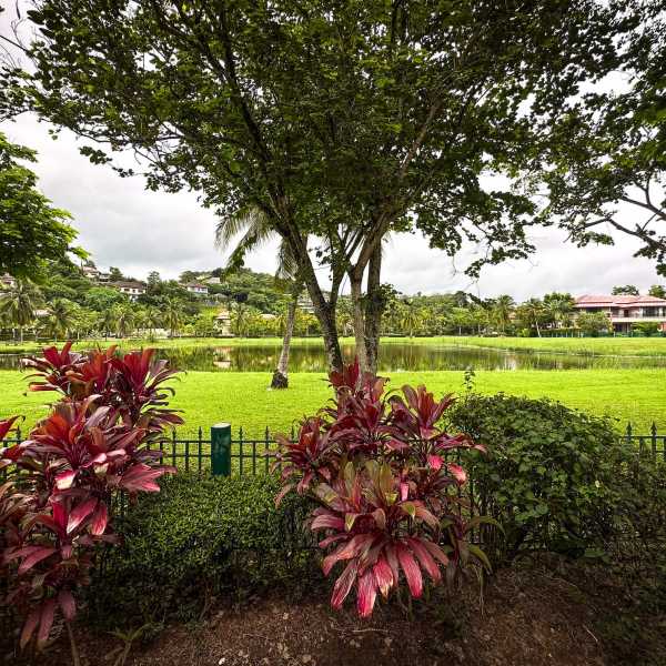 Property image - gallery 26