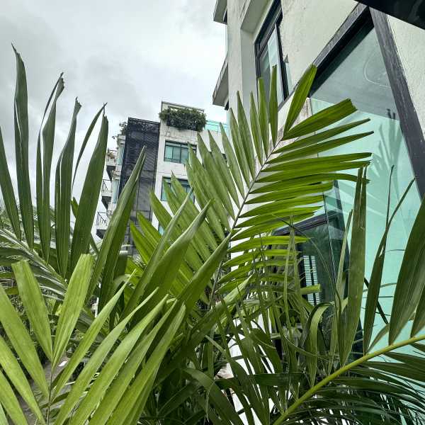 Property image - gallery 17