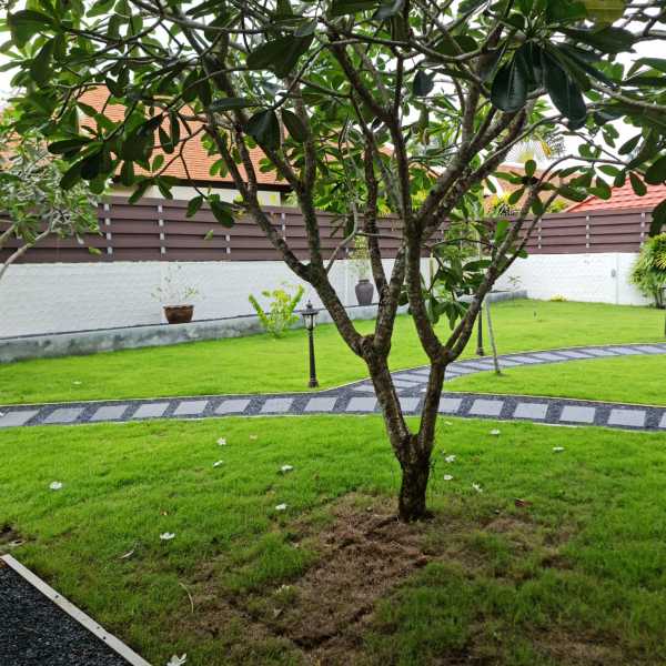 Property image - gallery 38