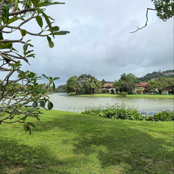 Property image - photo 2