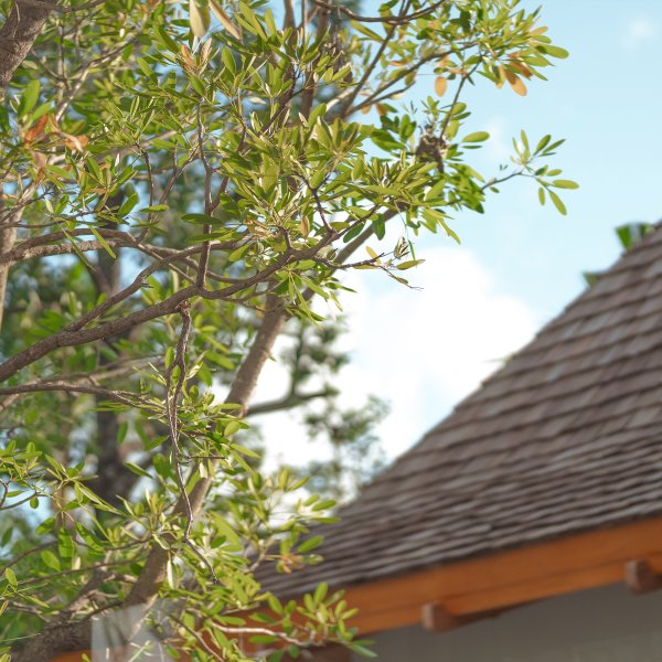 Property image - gallery 11