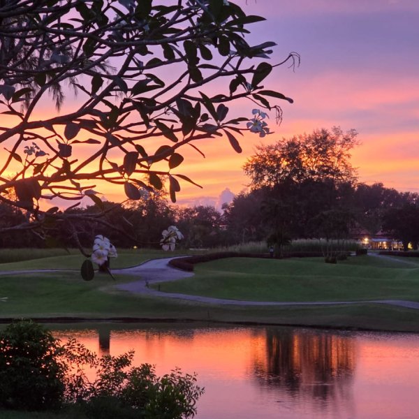 Property image - gallery 29