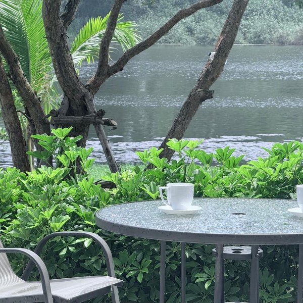 Property image - photo 4