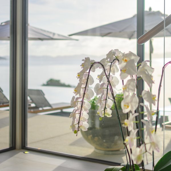 Property image - gallery 40